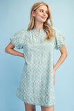 Embroidered Dress