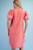 Embroidered Mini Dress