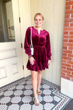 VELVET MINI DRESS