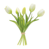 Tulip Bundle