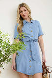 Chambray Collared Dress
